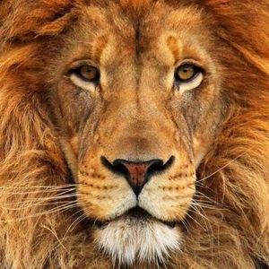 Meet your Posher, Warren